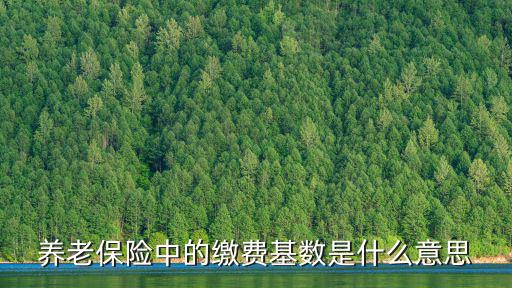 保險繳費基數，養老保險中的繳費基數是什么意思