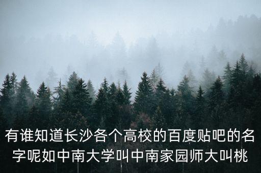 有誰知道長沙各個高校的百度貼吧的名字呢如中南大學叫中南家園師大叫桃