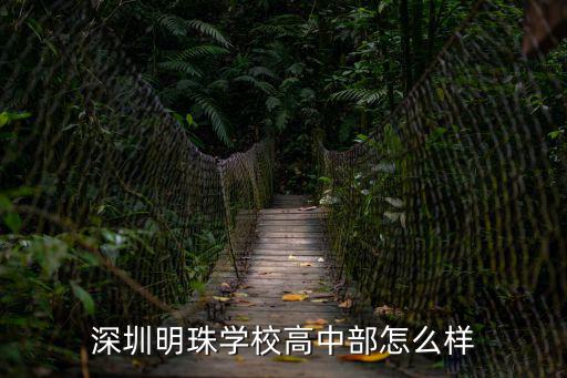 深圳明珠學校高中部怎么樣