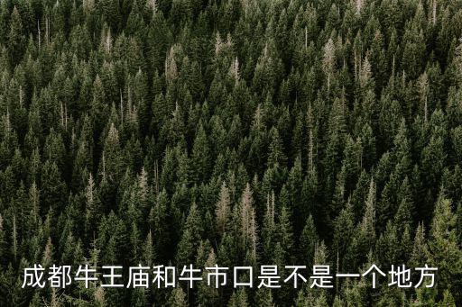 牛市口，成都牛王廟和牛市口是不是一個地方
