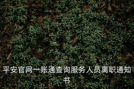 一窗通官網，平安官網一賬通查詢服務人員離職通知書