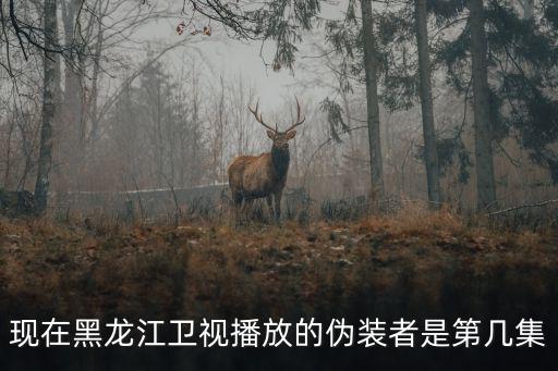 現在黑龍江衛視播放的偽裝者是第幾集