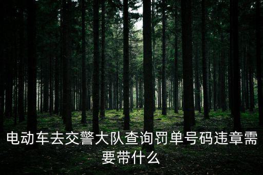電動(dòng)車去交警大隊(duì)查詢罰單號(hào)碼違章需要帶什么