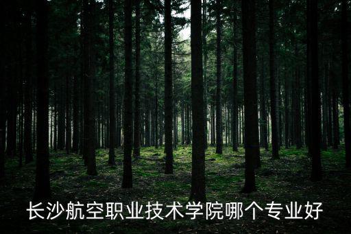 長沙航空職業技術學校，長沙航空職業技術學院的兩個校區那個比較好