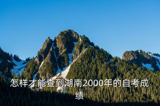 怎樣才能查到湖南2000年的自考成績