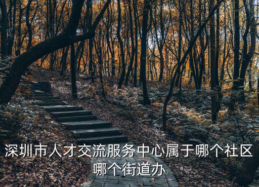 深圳人才服務(wù)中心，深圳市人才交流服務(wù)中心高新區(qū)分部具體地址
