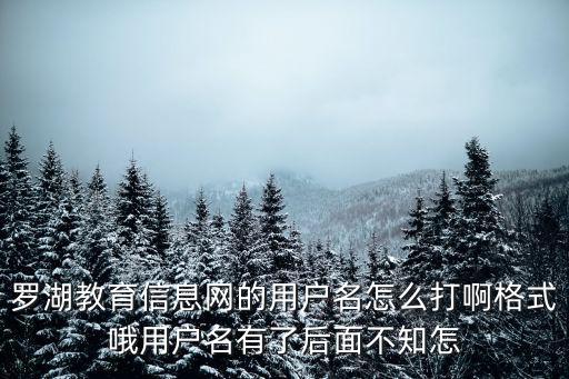 羅湖教育信息網(wǎng)，羅湖教育信息網(wǎng)怎么注冊