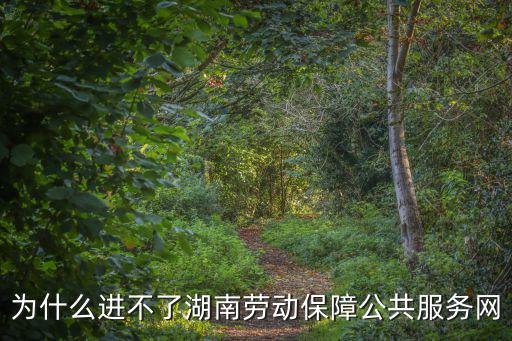 為什么進不了湖南勞動保障公共服務網