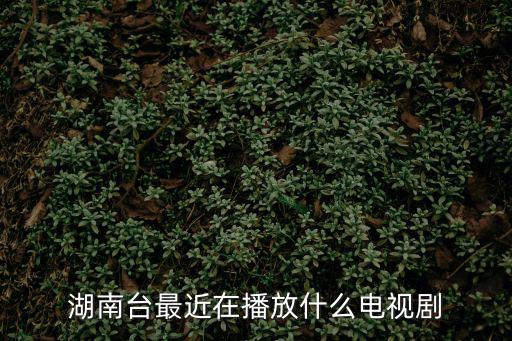 湖南臺(tái)最近在播放什么電視劇