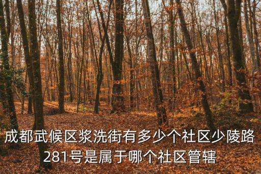 成都武候區漿洗街有多少個社區少陵路281號是屬于哪個社區管轄