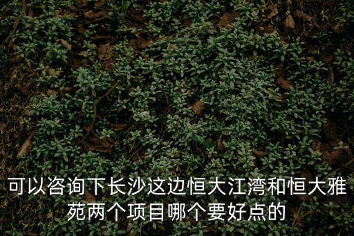 可以咨詢下長沙這邊恒大江灣和恒大雅苑兩個項目哪個要好點的