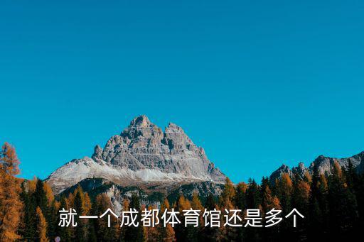 就一個成都體育館還是多個