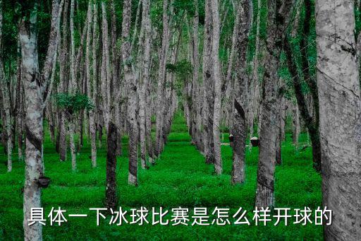 具體一下冰球比賽是怎么樣開球的