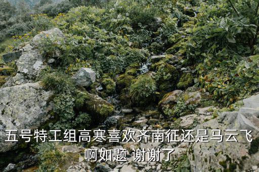 齊南征，五號特工組之偷天換月里的齊南征是誰啊