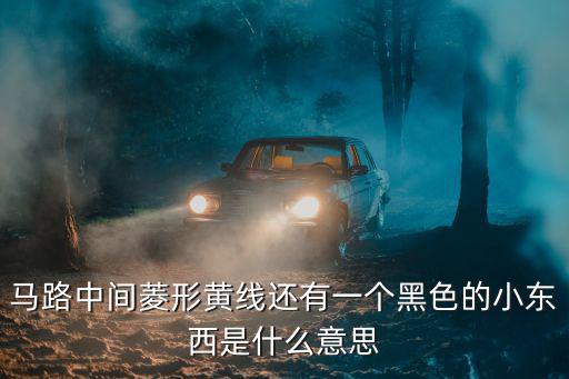 馬路中間菱形黃線還有一個黑色的小東西是什么意思
