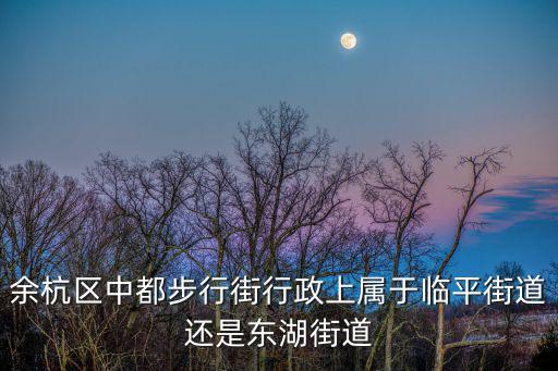 余杭區(qū)中都步行街行政上屬于臨平街道還是東湖街道
