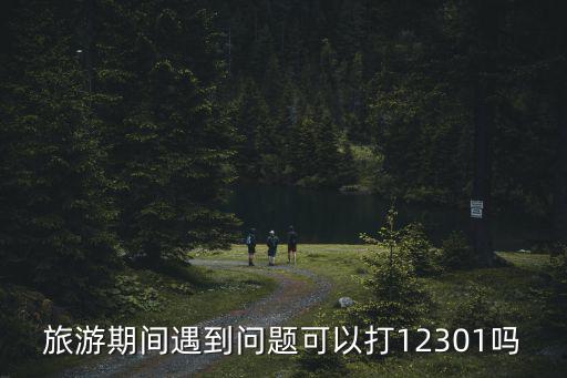 旅游期間遇到問題可以打12301嗎