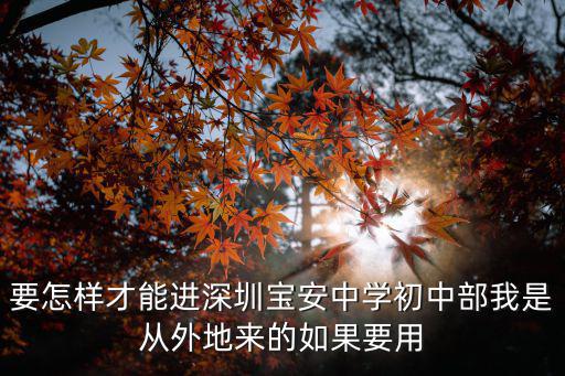 要怎樣才能進深圳寶安中學初中部我是從外地來的如果要用