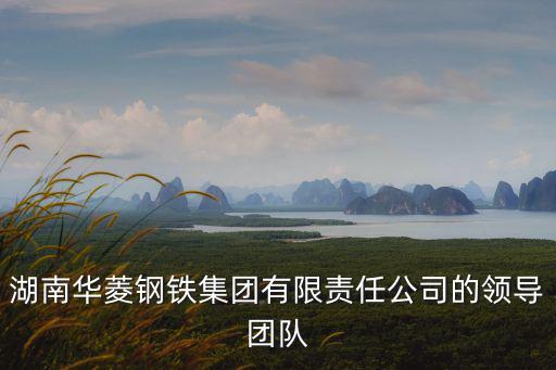 湖南華菱鋼鐵集團(tuán)有限責(zé)任公司，湖南華菱鋼鐵集團(tuán)怎么樣