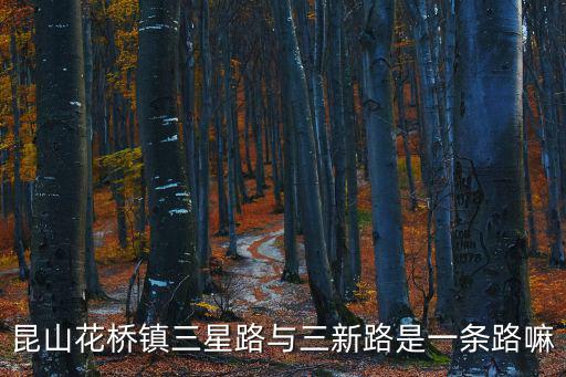 昆山花橋鎮(zhèn)三星路與三新路是一條路嘛