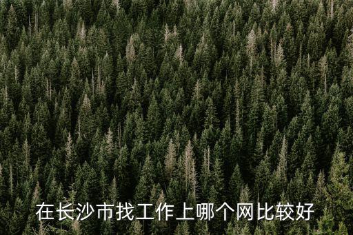 在長沙市找工作上哪個網比較好