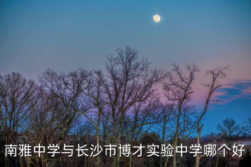 南雅中學與長沙市博才實驗中學哪個好
