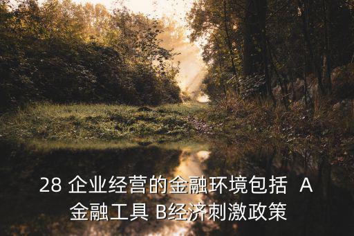 28 企業經營的金融環境包括  A 金融工具 B經濟刺激政策