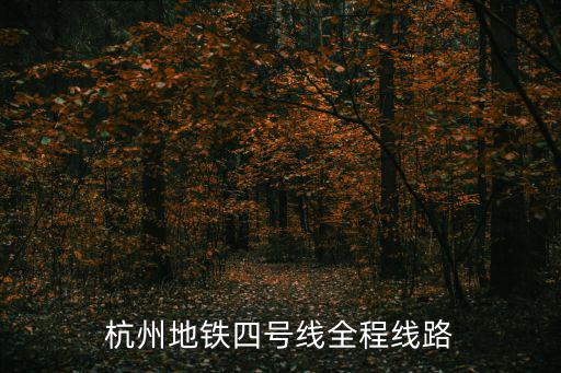 四號(hào)線路線，武漢地鐵4號(hào)線線路圖