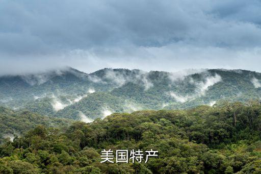 美國特產
