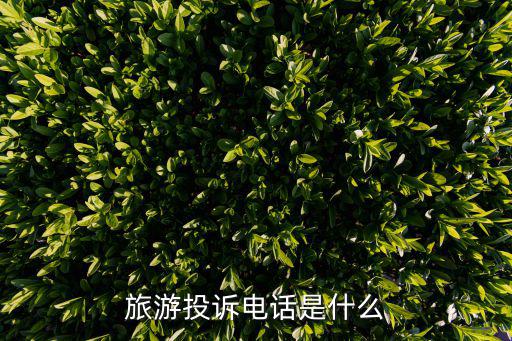 旅游投訴電話，臺灣旅游投訴電話是多少