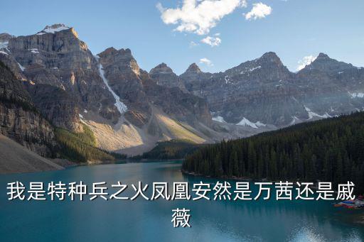 我是特種兵之火鳳凰安然是萬茜還是戚薇