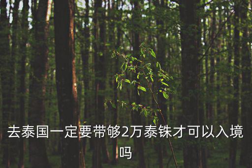 去泰國一定要帶夠2萬泰銖才可以入境嗎