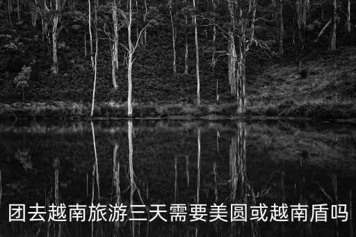 團去越南旅游三天需要美圓或越南盾嗎