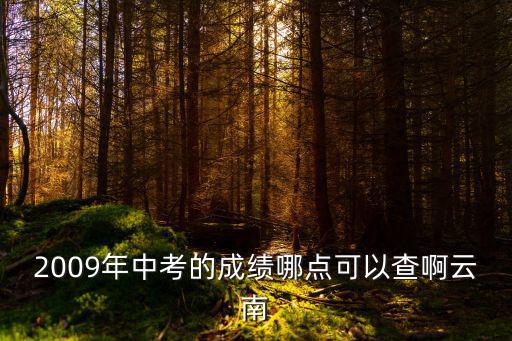 2009年中考的成績哪點(diǎn)可以查啊云南