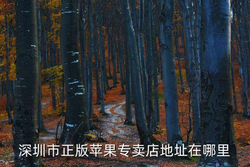 深圳市正版蘋(píng)果專賣(mài)店地址在哪里