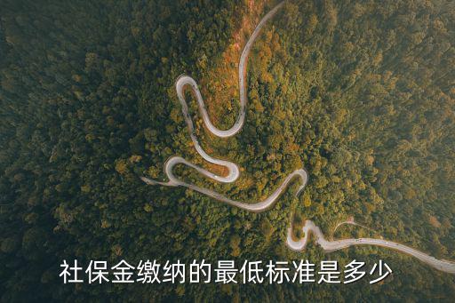 社保金繳納的最低標準是多少