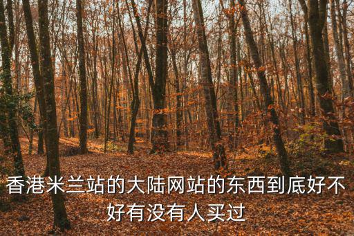 香港米蘭站的大陸網站的東西到底好不好有沒有人買過
