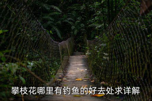 攀枝花在哪里，攀枝花哪里有釣魚的好去處求詳解