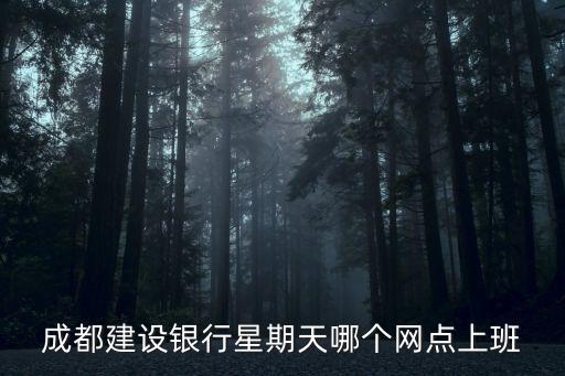 成都建設銀行星期天哪個網點上班