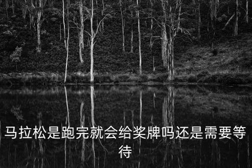 馬拉松獎牌，廣州迷你拉馬松有獎牌嗎