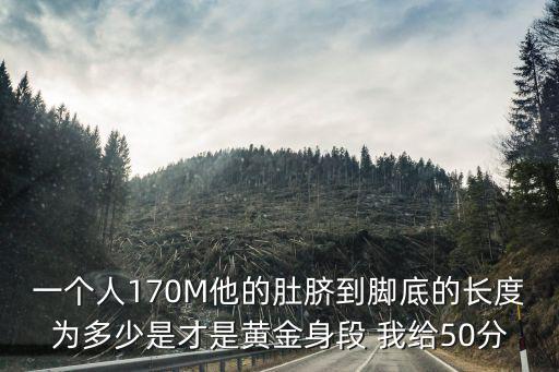 一個人170M他的肚臍到腳底的長度為多少是才是黃金身段 我給50分