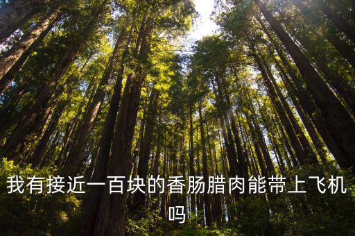 香腸能帶上飛機嗎，乘飛機可以帶香腸嗎