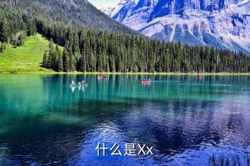 什么是Xx