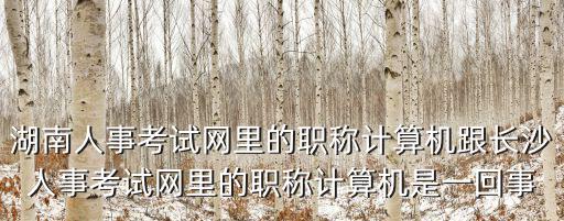 湖南人事考試網里的職稱計算機跟長沙人事考試網里的職稱計算機是一回事