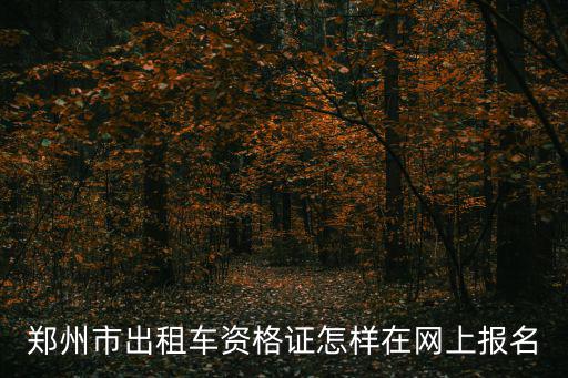 出租車資格證網(wǎng)上報名，出租車資格證在網(wǎng)上可以報考嗎