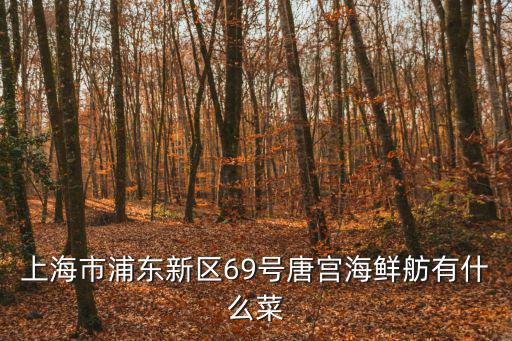 上海市浦東新區69號唐宮海鮮舫有什么菜