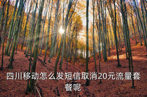 四川移動怎么發(fā)短信取消20元流量套餐呢
