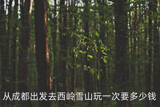 從成都出發去西嶺雪山玩一次要多少錢