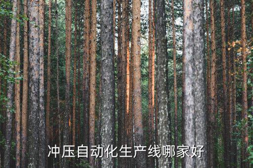 沖壓自動化生產線哪家好
