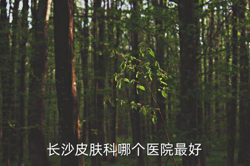 長沙皮膚科哪個醫(yī)院最好